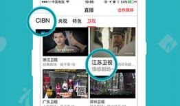 看片和直播app,看片与直播APP的融合体验解析