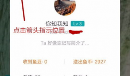 91钓鱼直播怎么赚钱,揭秘钓鱼爱好者如何通过直播实现盈利